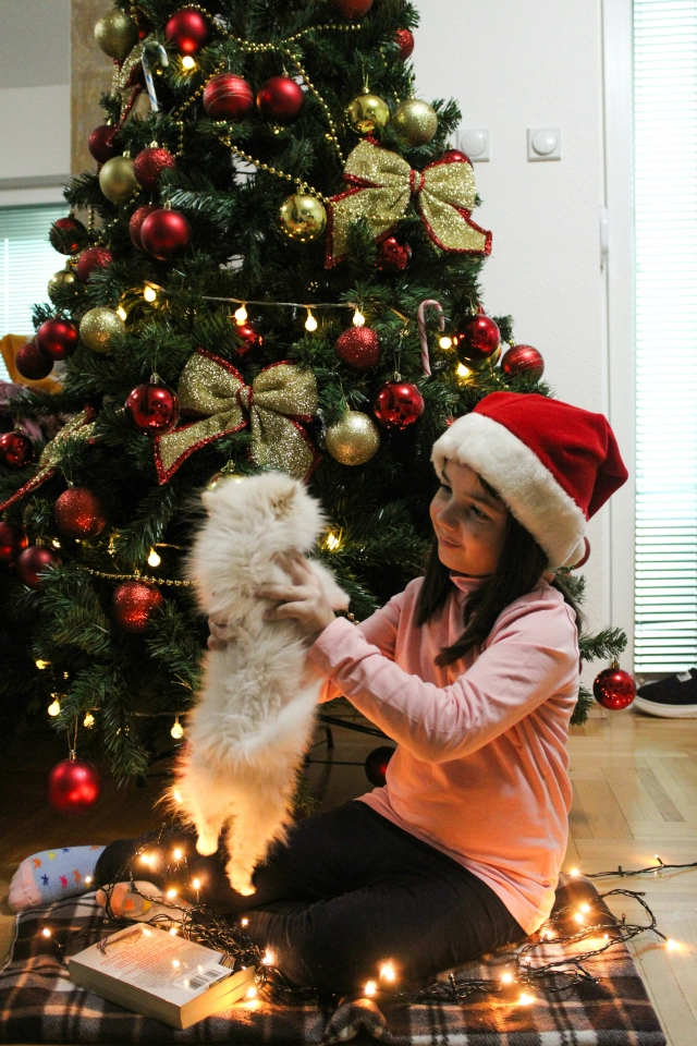 sesion de fotos de navidad niña con gato en arbol de navideño